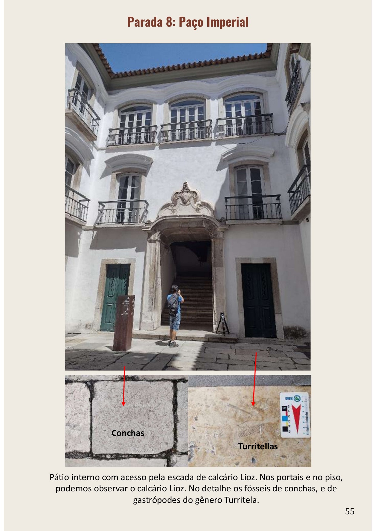 Página de amostra do e-book com fotos anotadas dos fósseis no Paço Imperial